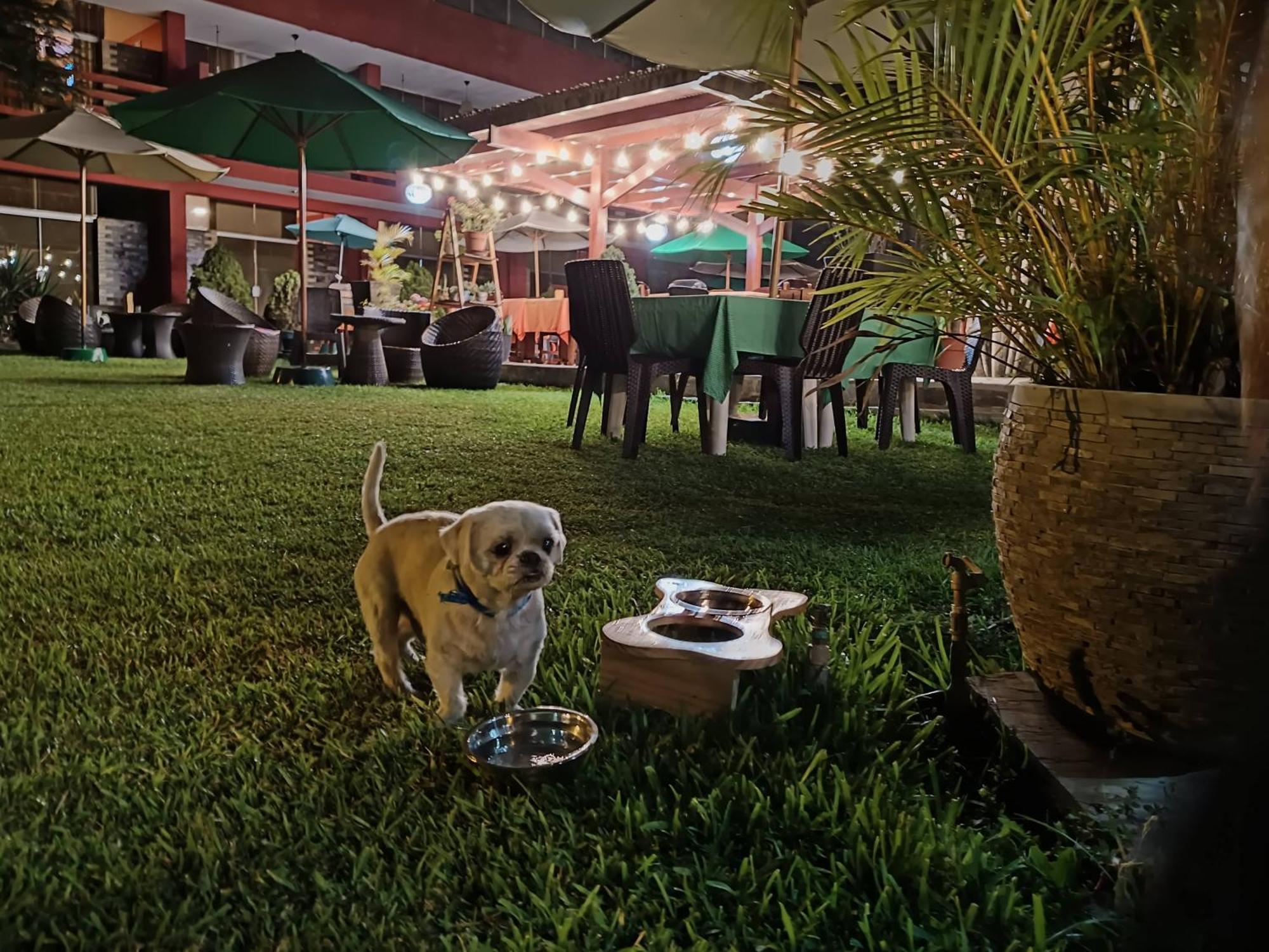 Huertalejandro Restaurante Campestre Y Hospedaje Cieneguilla Εξωτερικό φωτογραφία